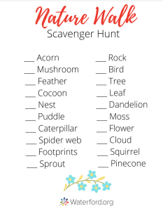 Scavenger Hunt activity